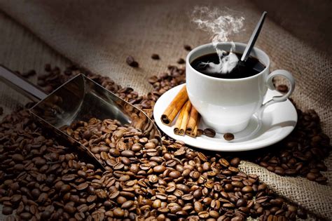 Ž label obat diberi tandalingkaran hijau dg garis tepiberwarna hitam. Cara Penyimpanan Kopi Agar Tetap Segar | Coffeeland