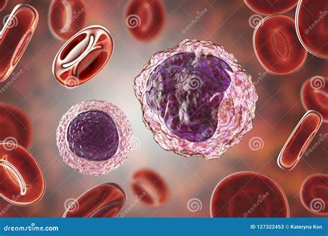 Lymphocyte And Monocyte Surrounded By Red Blood Cells Stock