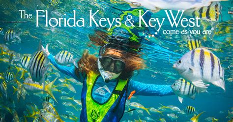 Snuba On The Florida Keys Reefs An Underwater Introduction