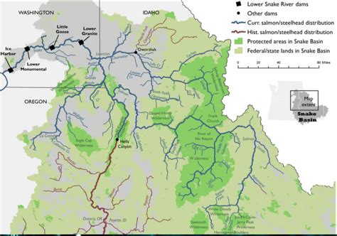 Time For Lower Snake River Dams To Go The Fishing Wire