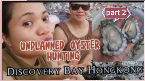 Unplanned Oyster Hunting Part 2 Viral Ofwhongkong Discoverybay Youtube
