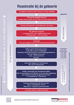 Reanimatierichtlijnen 2015 van de europese reanimatieraad (european deze samenvatting geeft een overzicht van de essentiële behandelalgoritmen voor de reanimatie van. Catalogus - Webwinkel Nederlandse Reanimatie Raad - WebEdu