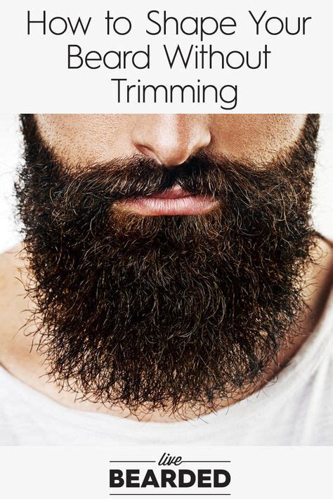 How To Shape Your Beard Without Trimming Beard Care Tips Grow A