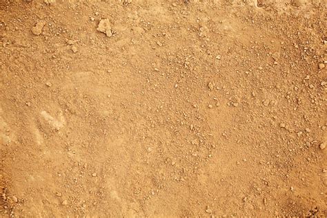 Dirt Stock Photos Pictures And Royalty Free Images Istock