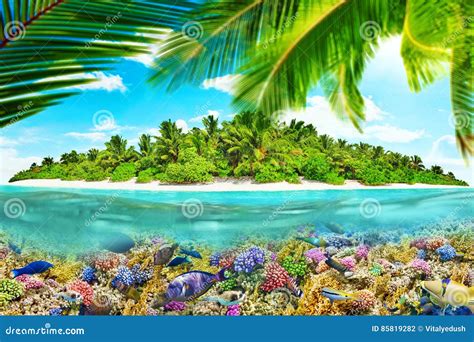 Tropical Island In Ocean And Beautiful Underwater World Stock Photo