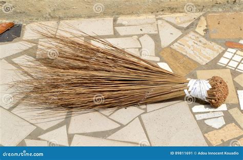 Use Of The African Broomstick Stock Image Image Of Support Sort