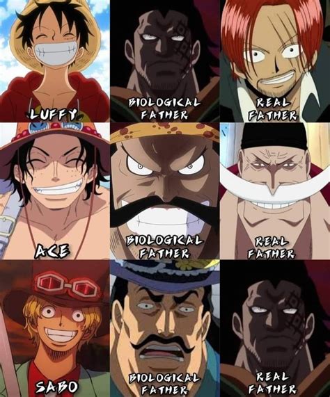 Luffy Sabo And Ace One Piece 💙 One Piece Ace One Piece Anime