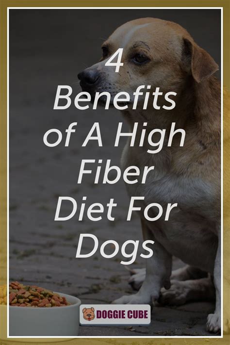 High fiber dog food, treats, and supplements are a great way to improve your dog's overall health! 4 Benefits of A High Fiber Diet For Dogs - Doggie Cube ...