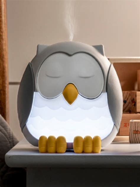 There are 231 young living owl for sale on etsy, and they cost 10,95 $ on average. Feather the Owl Diffuser | Young living diffuser, White ...