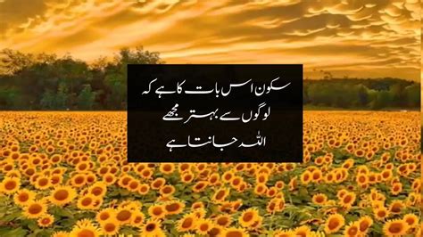 Hazrat Ali Akwal Life Changing Quotes