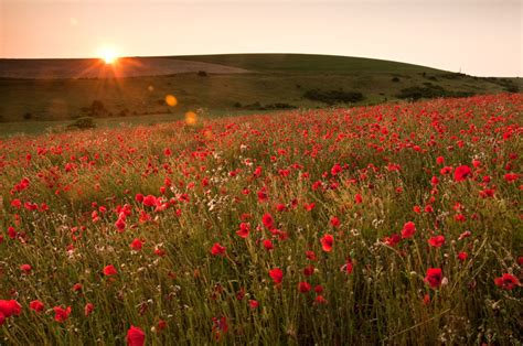 How To Shoot Better Summer Landscape Photography Photography Revision