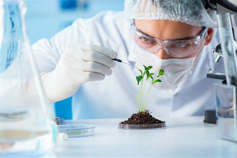 Top Best Biotechnology Companies In India In Inventiva