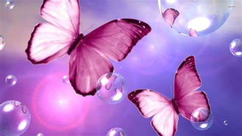 pink butterfly wallpaper 69 images