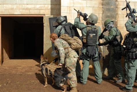 Joint Training Increases K 9 Handler Skills Article The United States Army