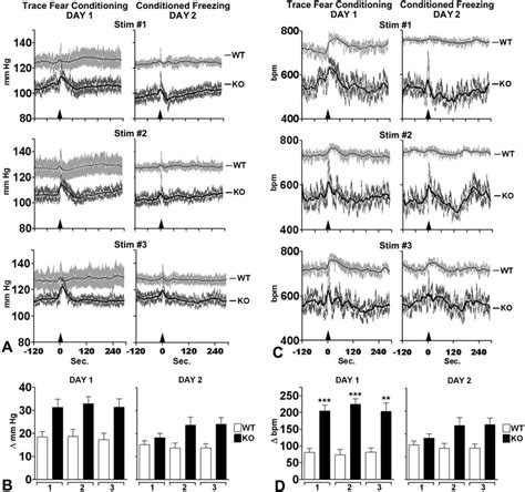 Trace Fear Conditioningconditioned Freezing Bp Response A To