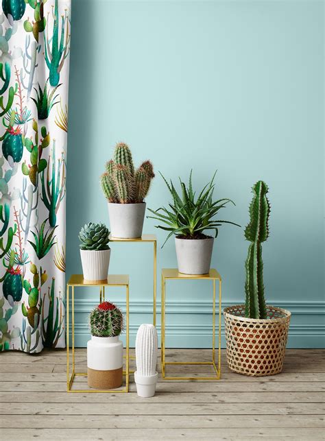 Cactus Decoration Pots Decoracao Com Suculentas