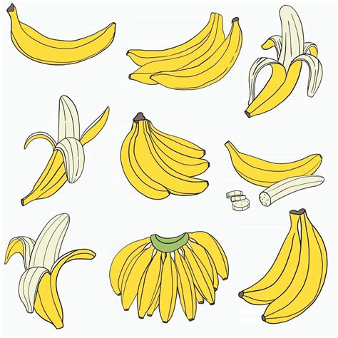Doodle Freehand Sketch Drawing Of Banana Fruit 2962152 Vector Art At