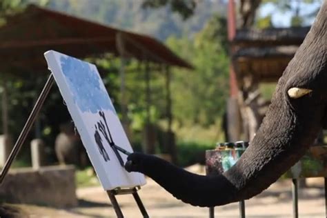 Watch Elephants Painting Of Herself And Friend Sells For Rs 4 Lakh In