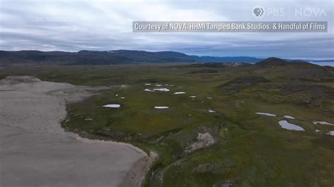 Oldest DNA Reveals Life In Greenland 2 Million Years Ago WBBJ TV