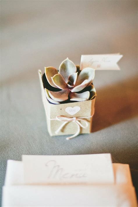 What A Beautiful Simple And Sweet Succulent Favor On Of Our Customers