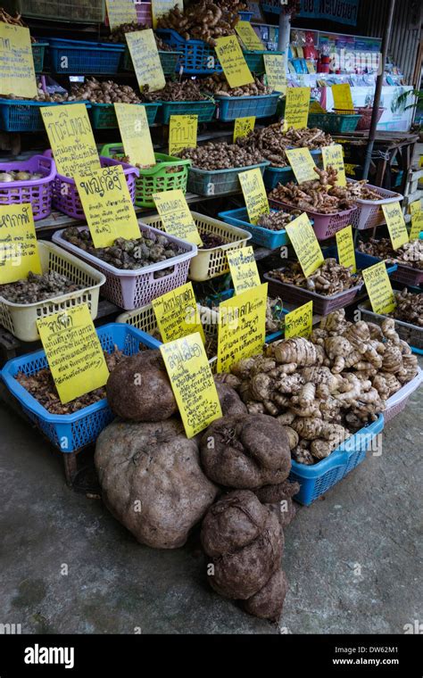 Tropical Plant Bulbs For Sale At A Stand Outside Chang Dao Cave In
