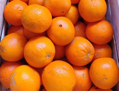 Oranges Arnaud Bio