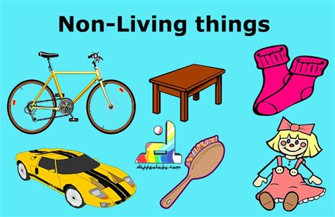 Difference Between Living And Non Living Things Diffeology