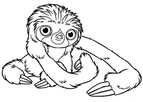 Baby Sloth Coloring Page  Color Luna
