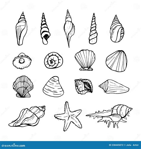 Shells Doodle Set Hand Drawn Vector Sea Sell Stock Vector