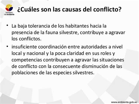 Causas Del Conflicto