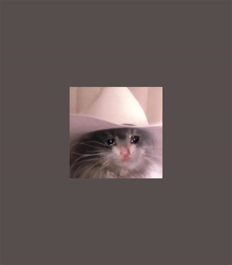 Sad Cat Cowboy Hat Digital Art By Manus Thalia Fine Art America