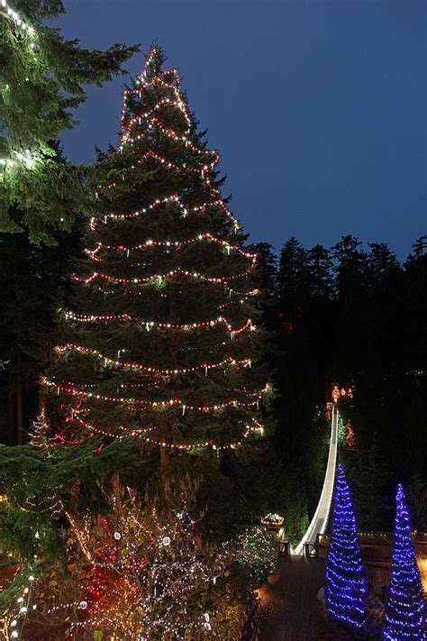 Things To Do In Vancouver Canyon Lights Capilano Suspension Bridge