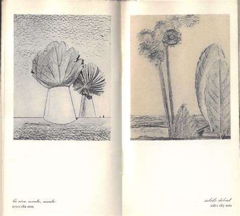 Max Ernst Histoire Naturelle Dessins Inédits Von Ernst Max