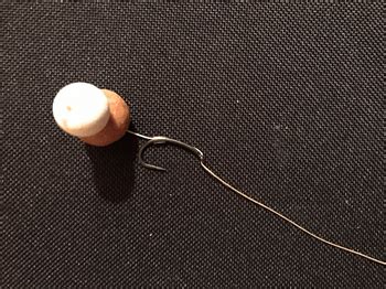 Maybe you would like to learn more about one of these? Karpfenangeln - Erfolg auf Karpfen | Angeln mit Stil