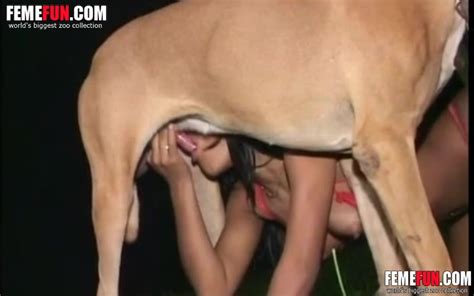 Omg Xxx Drunk Girl Gets Horny And Sucking Off The Dog In Front Of