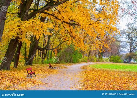 Autumn Scenery With Red Benches In The Park Stock Image Image Of