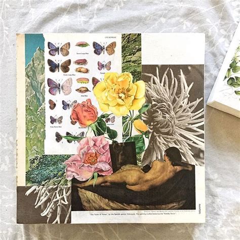 Field Guide To The Nude In Her Bed Handcut Collage On Mounted Canvas