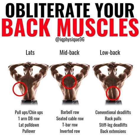 Kyle Krucki On Instagram “obliterate Your Back Muscles Iqphysique96 The Back Is Composed Of