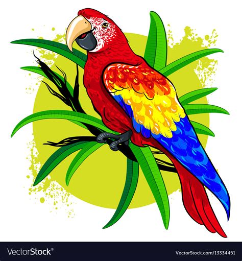 Drawing Of A Large Bright Colored Parrot Vector Image