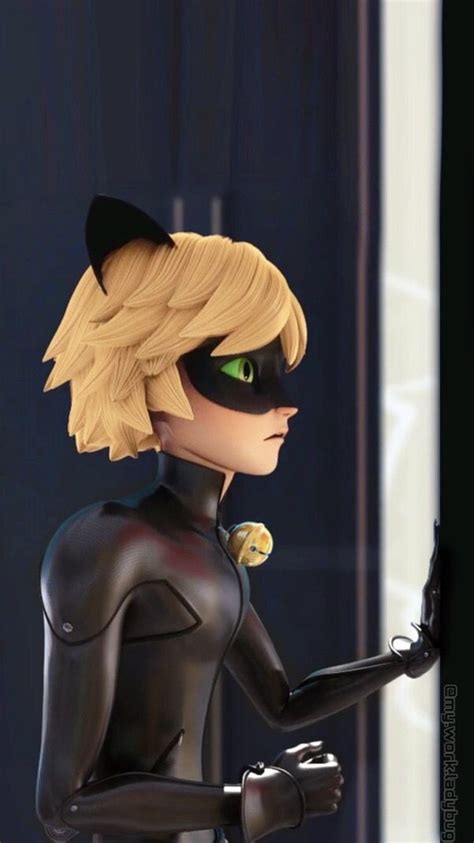 Check spelling or type a new query. 💚🐾Chat Noir🐾💚 | Fotos de cat noir, Equipos mlb, Personajes ...