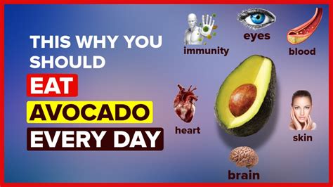 Avocado Benefits What Happens To Your Body When You Eat Avocado Every