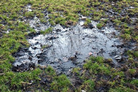 Use regular aeration, over seeding a waterlogged lawn is most gardener's worst nightmare! Top tips to deal with a waterlogged garden