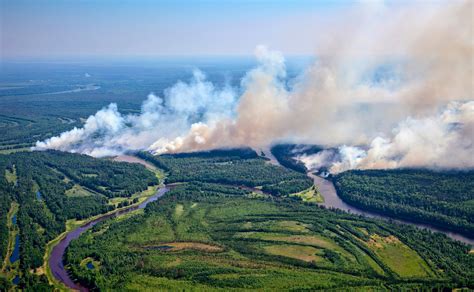 Wildfire Smoke Particles Erode The Ozone Layer Earth