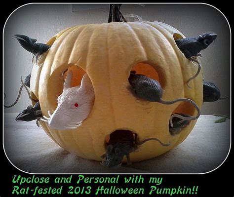 Rat Infested Pumpkin Pumpkin Carving Pumpkin Carving