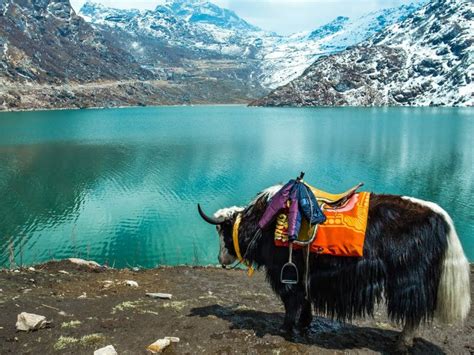 Explore The Beautiful Places Of Sikkim This Summer 2023 Guide The