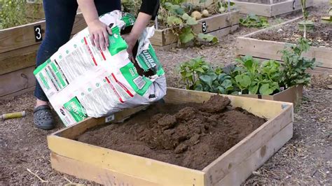 Check spelling or type a new query. How Do I Start a Small Vegetable Garden in Texas? - YouTube