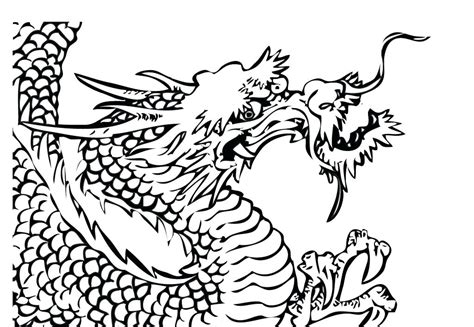 Here are 20 of the most interesting morphs and colors from common there are three main ways bearded dragons are classified: Bearded Dragon Coloring Page at GetColorings.com | Free ...