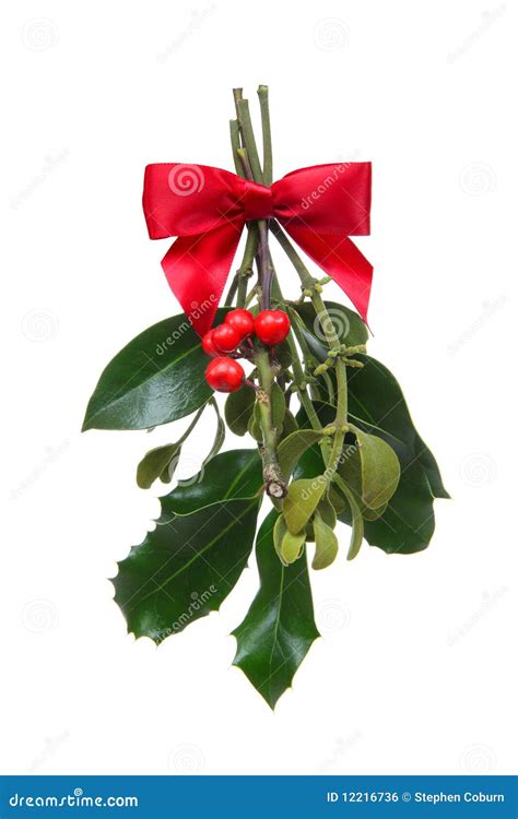 Holiday Christmas Mistletoe Royalty Free Stock Image Image 12216736