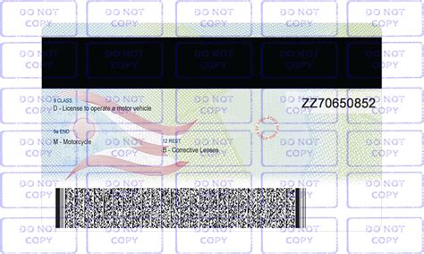 New Ohio Driver License Template Psd 2023 Edit Ssc