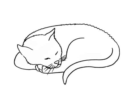 How To Draw A Sleeping Cat Step By Step Easy Animals 2 Draw